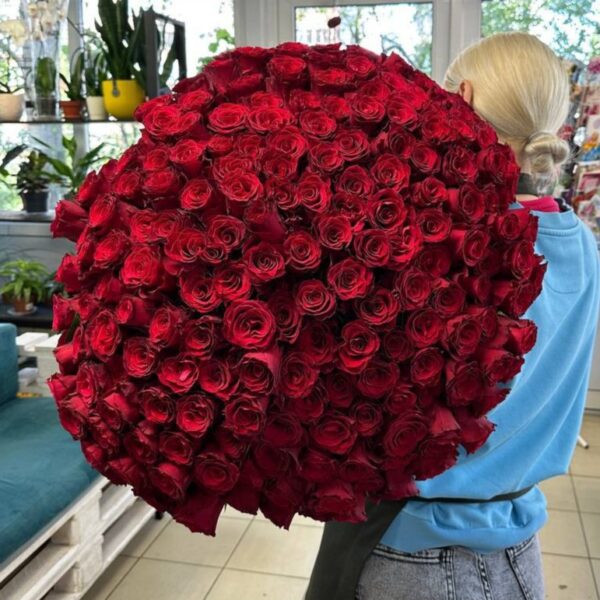 Букет из 201 красной розы