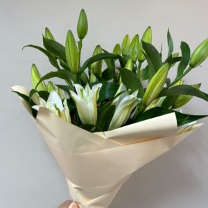 Букет из 5 белых лилий