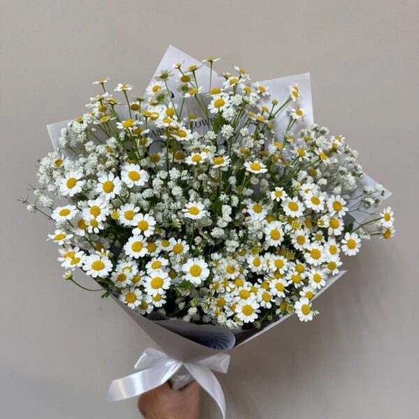 Букет из ромашек и гипсофилы