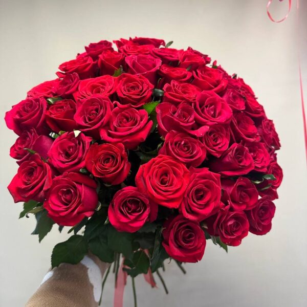51 красная роза Россия