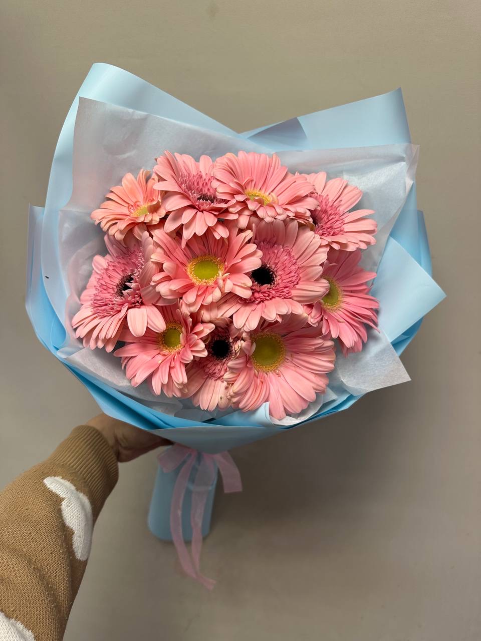 Букет из 11 гербер Букет из 11 гербер