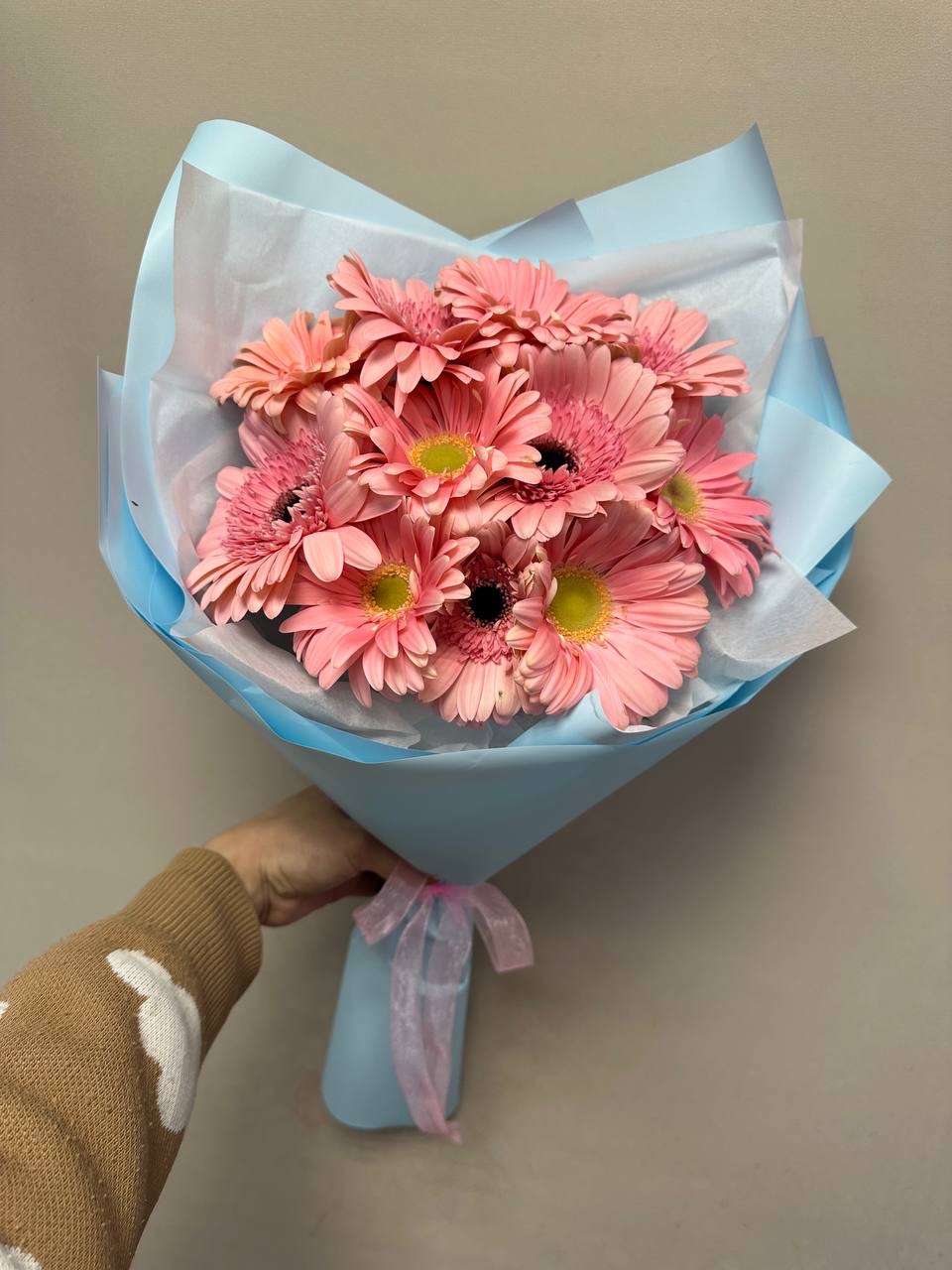 Букет из 11 гербер Букет из 11 гербер