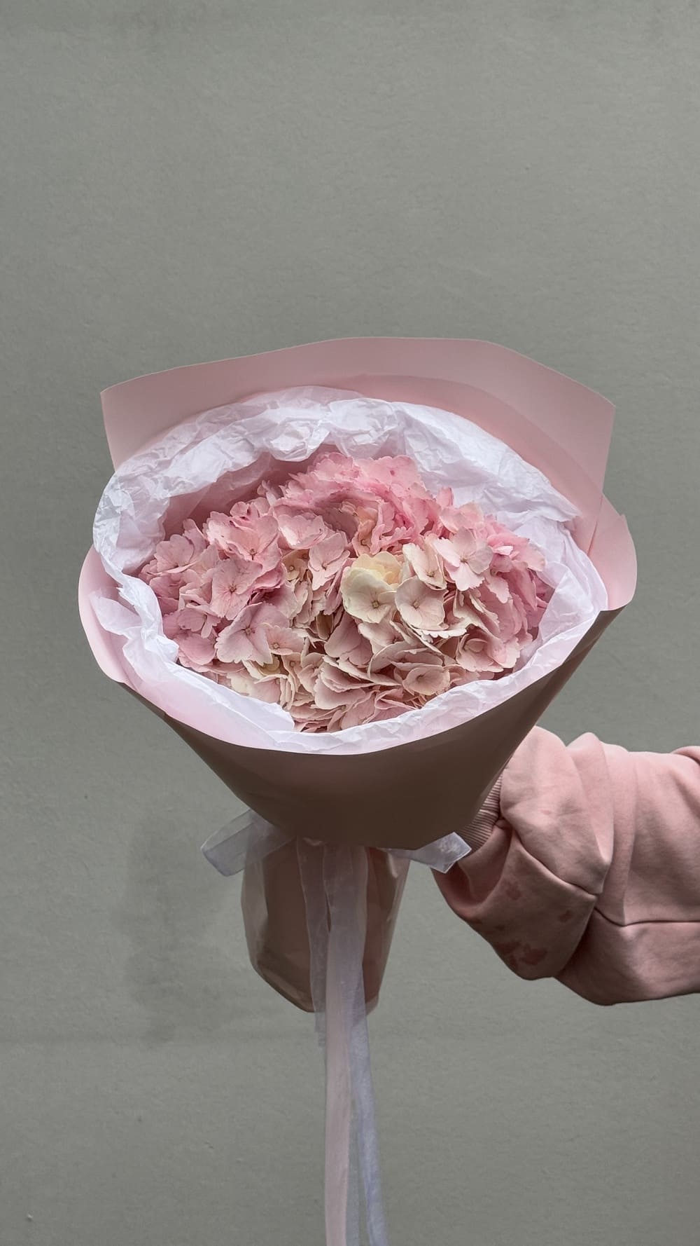 Букет из 1 гортензии Букет из 1 гортензии