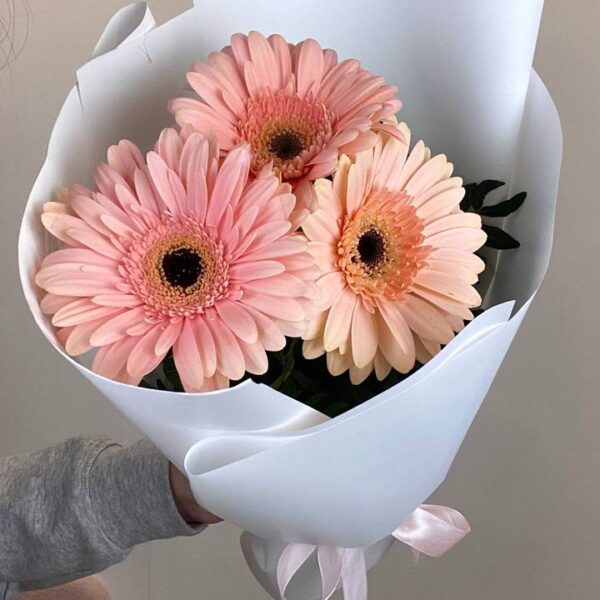 Букет из 3 гербер