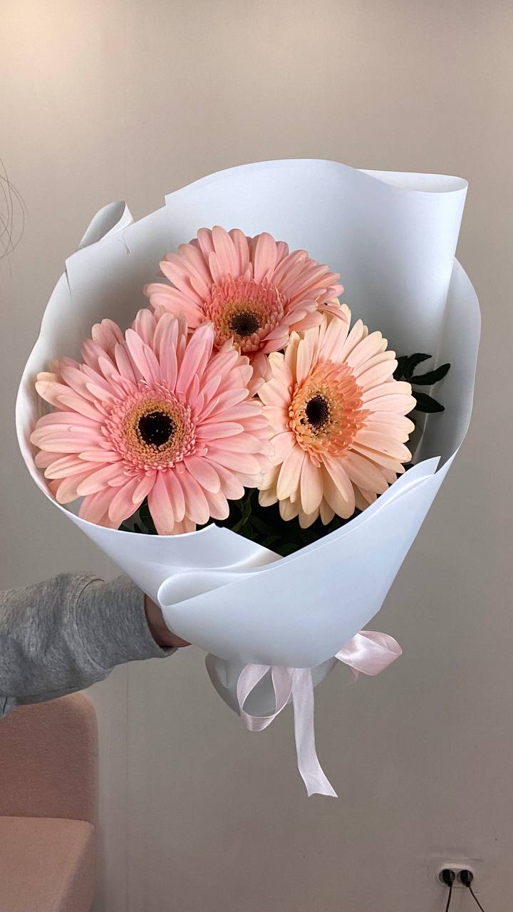 Букет из 3 гербер Букет из 3 гербер