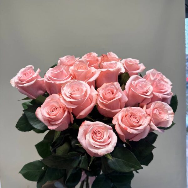 Букет из 17 роз Эквадор