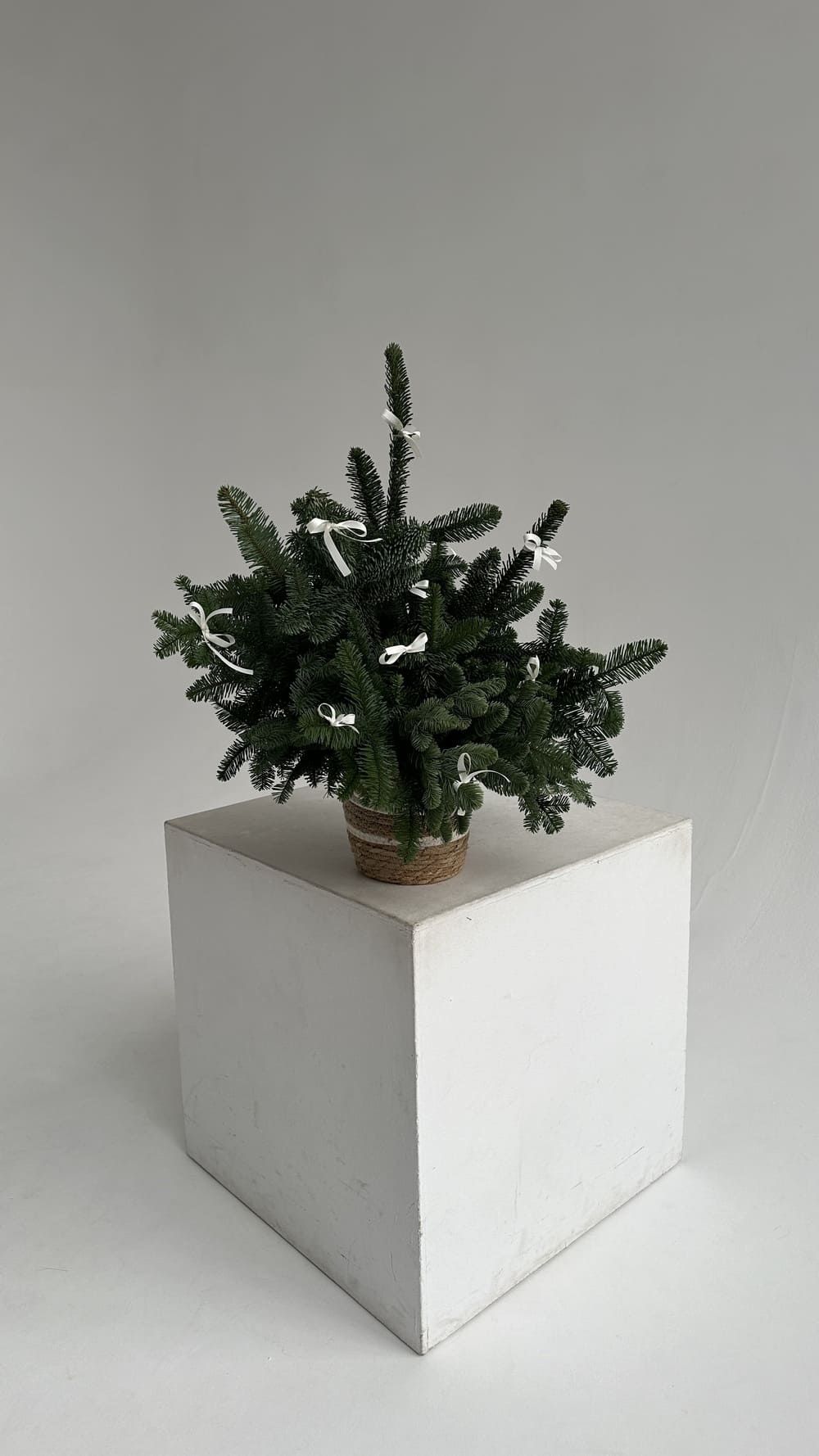 Елка mini Елка mini