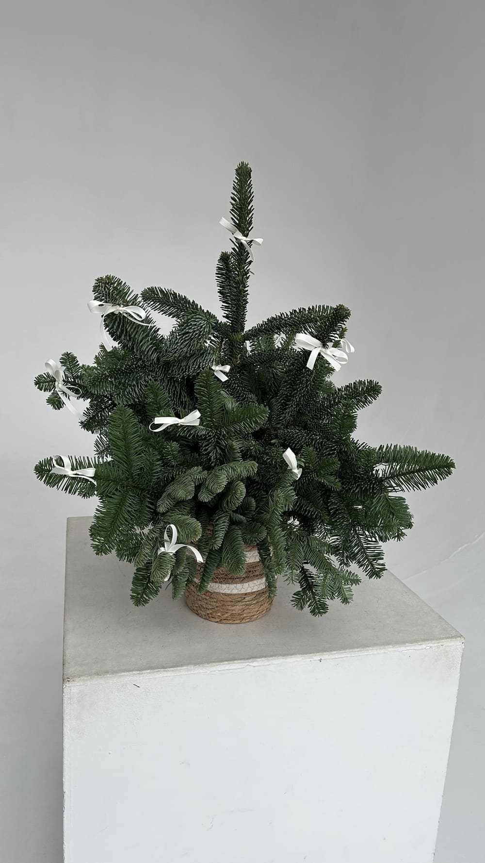 Елка mini Елка mini