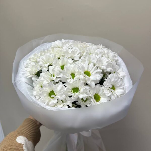 5 кустовых хризантем