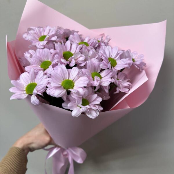 3 кустовых хризантем